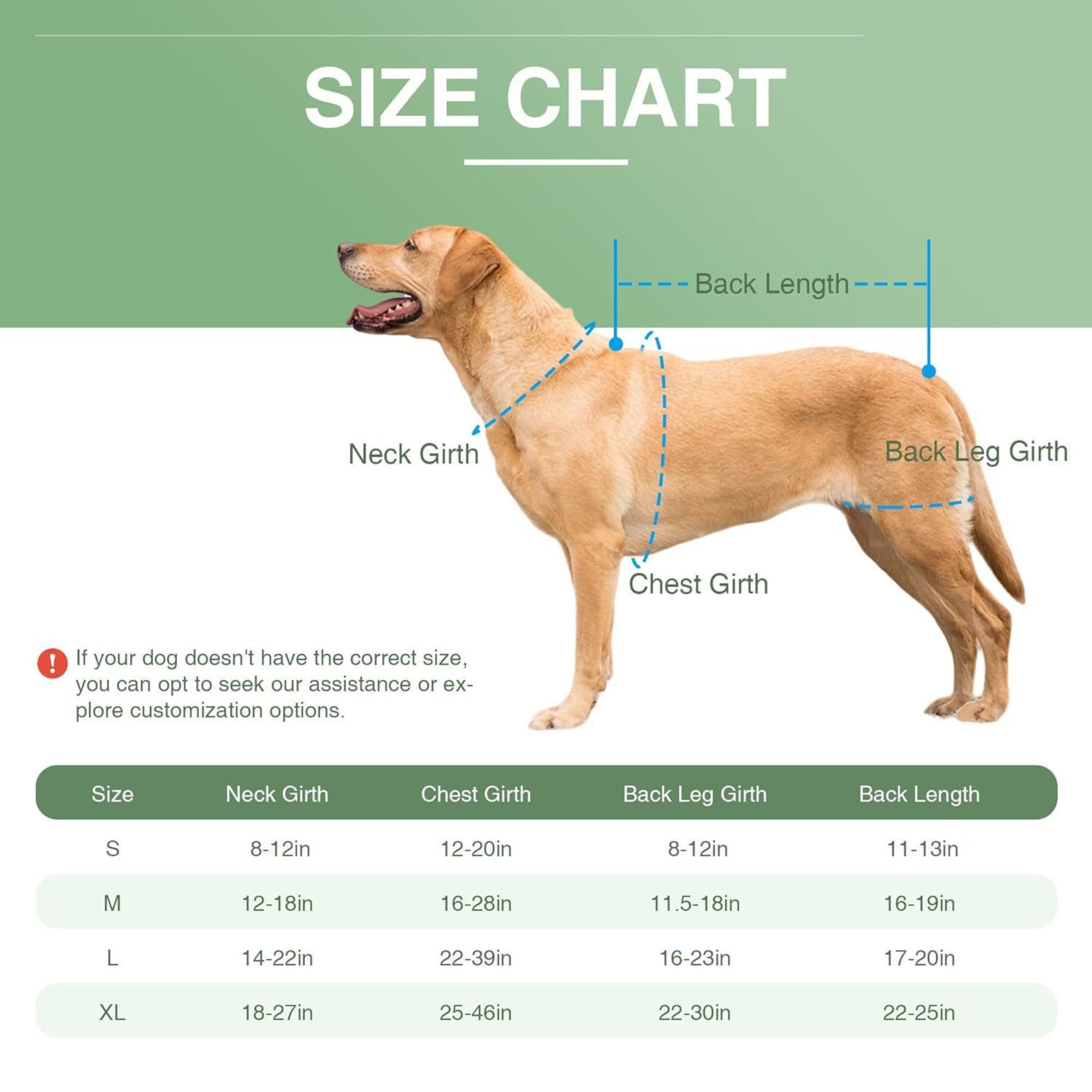 Dog Back Support Vest for IVDD & Spinal Injuries - Protective Pain Relief & Recovery