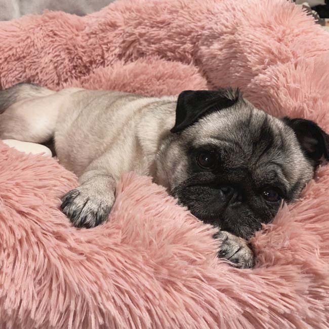 Calming Dog Bed - The Original Super Comfy & Anti Anxiety Pet Bed