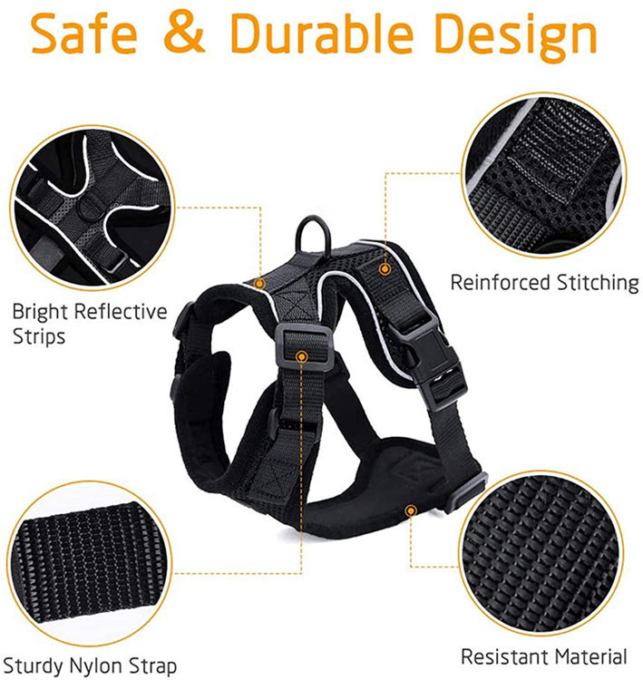 Cat Harness and Leash Set for Walking Cat and Small Dog Harness