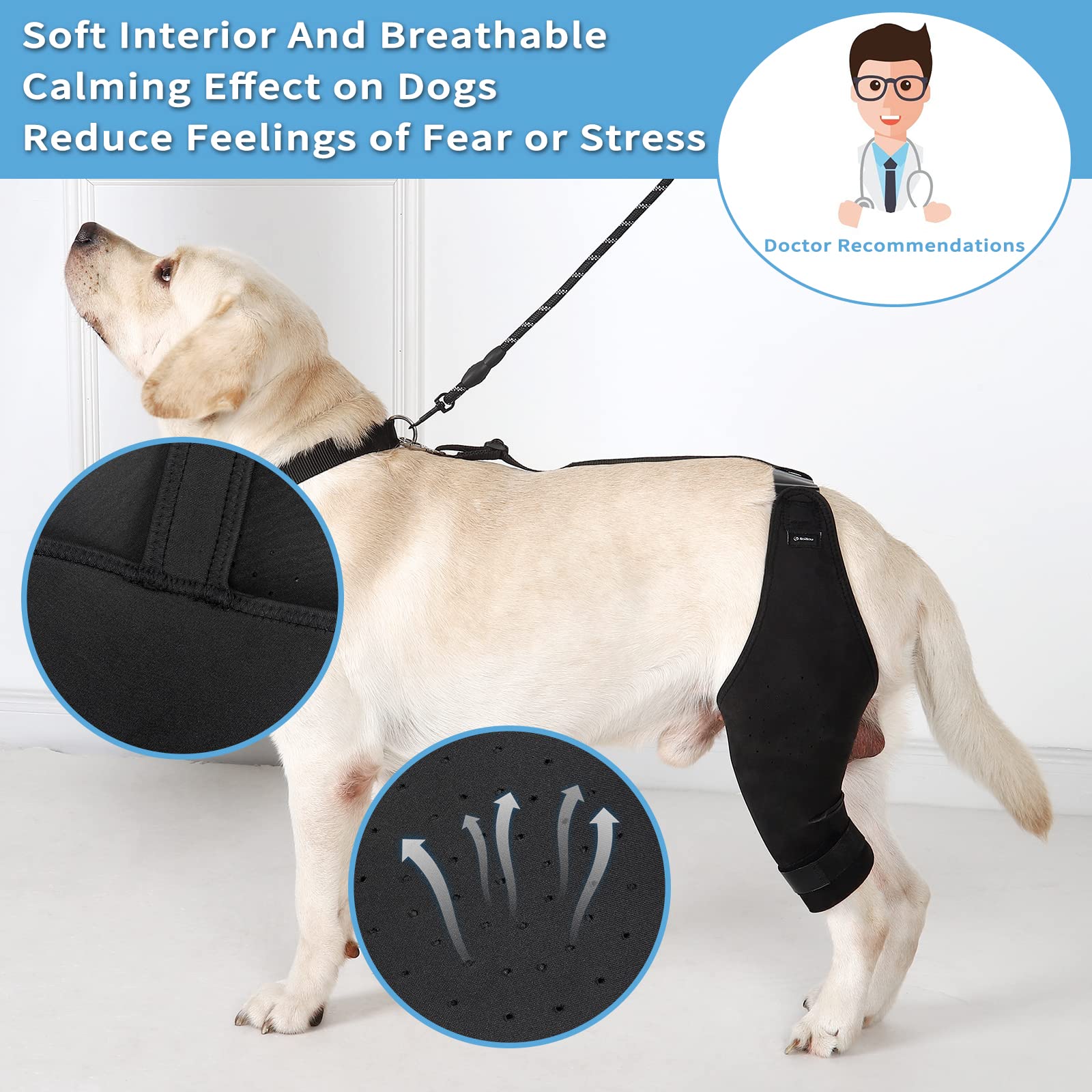 Dog Knee Brace, Dog Leg Brace for Sprain ACL, CCL, Arthritis