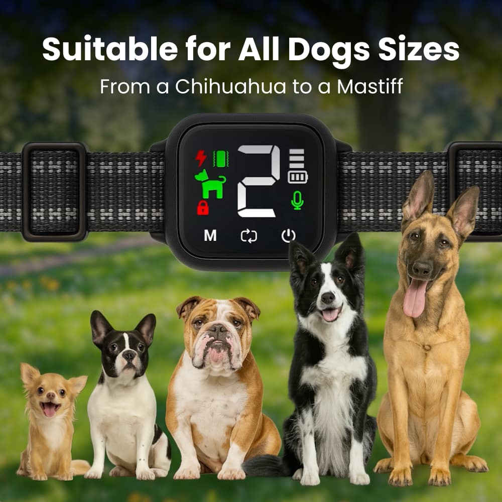 Smart Anti-Bark Dog Collar – Humane Training, Adjustable Fit, Suitable for Large & Small Dogs