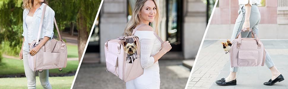 pet carriers for small dogs 20 lbs