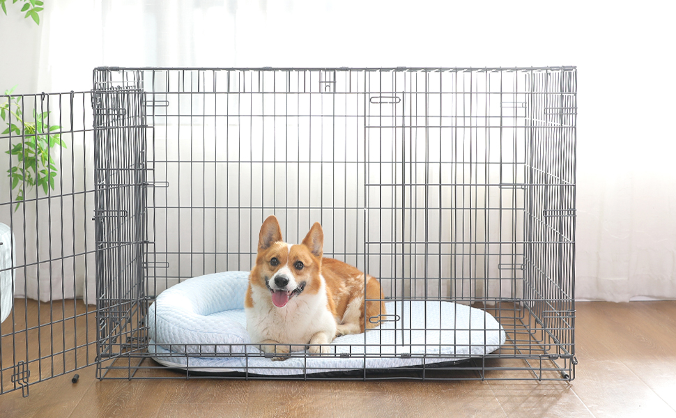 Dog Cooling Mat