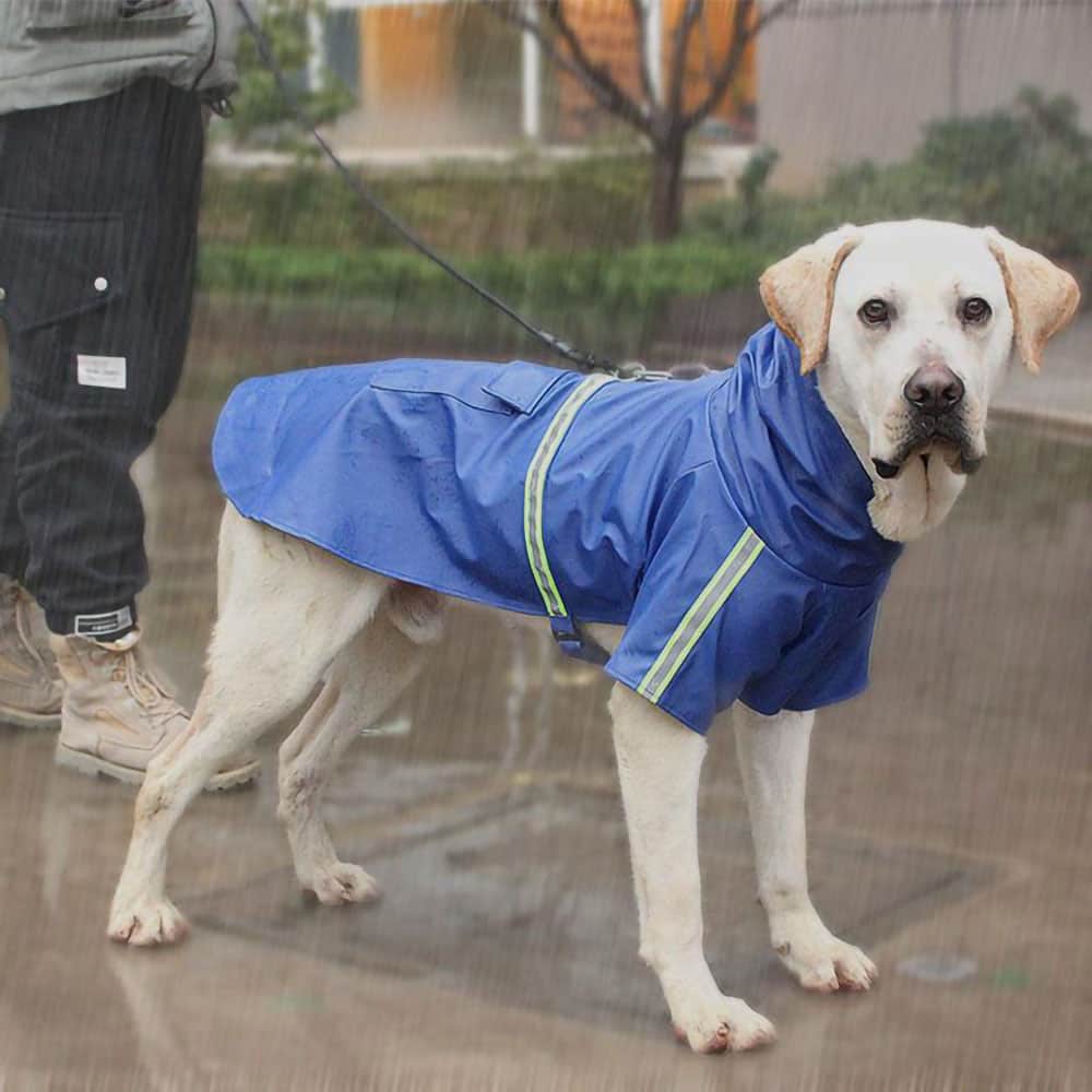 Dog Raincoat With Leash/Harness Port
