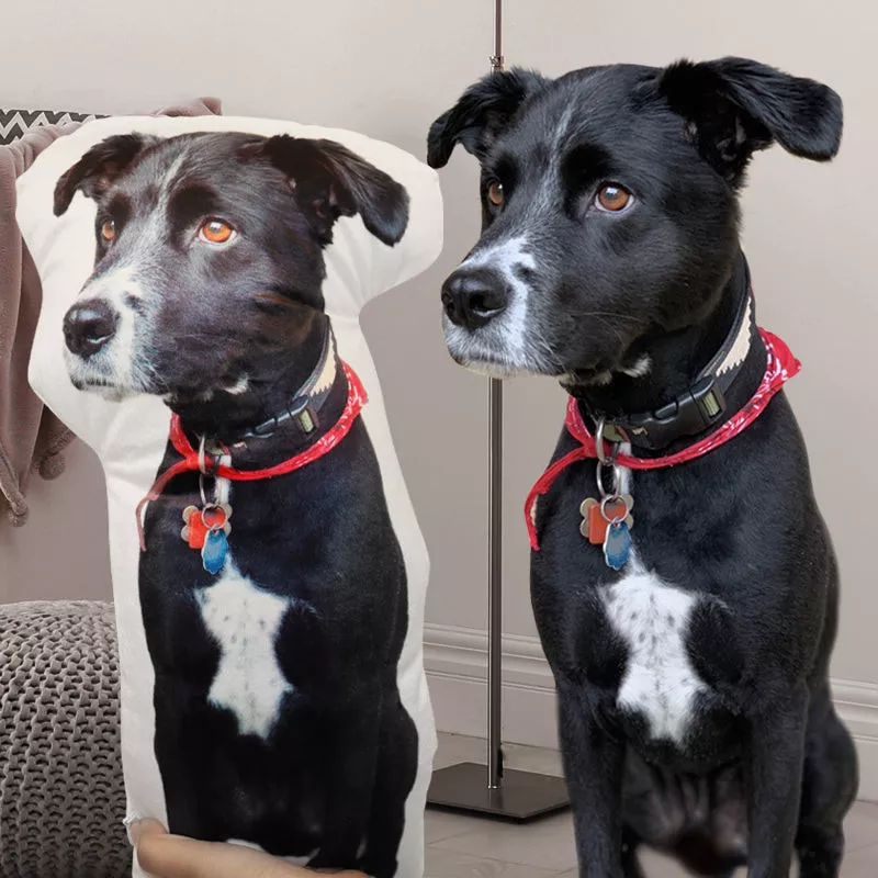 Custom Head Photo Face Pillow 3D Portrait Pillow Christmas Gift