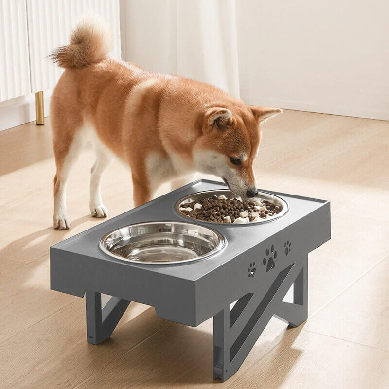 Elevated Bowls for Dogs - Adjustable Raised Bowl Dog Feeder