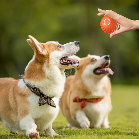 Automatic Smart Teasing Dog Ball