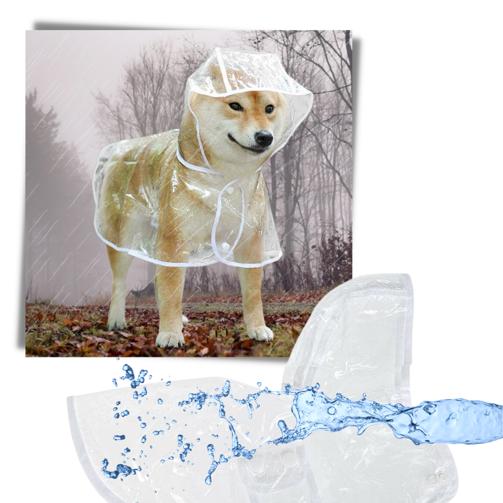Hooded Raincoat for Dogs  - Waterproof and Windproof - 