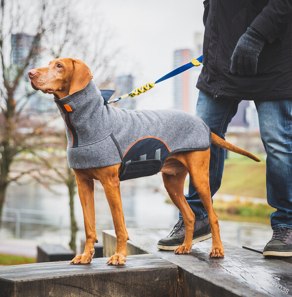 2022 New Dog Winter Plus Velvet Warm And Cold Jacket
