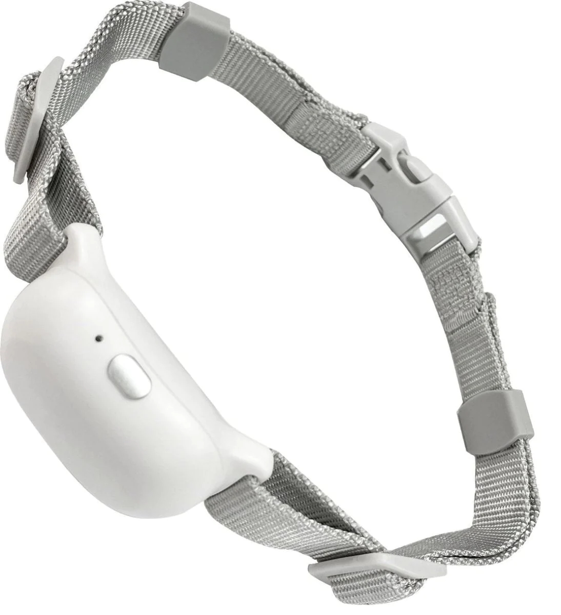 Dog Training Collar with Remote T200 White - 2 Dog Set, IPX68 Waterproof, 1000ft Range