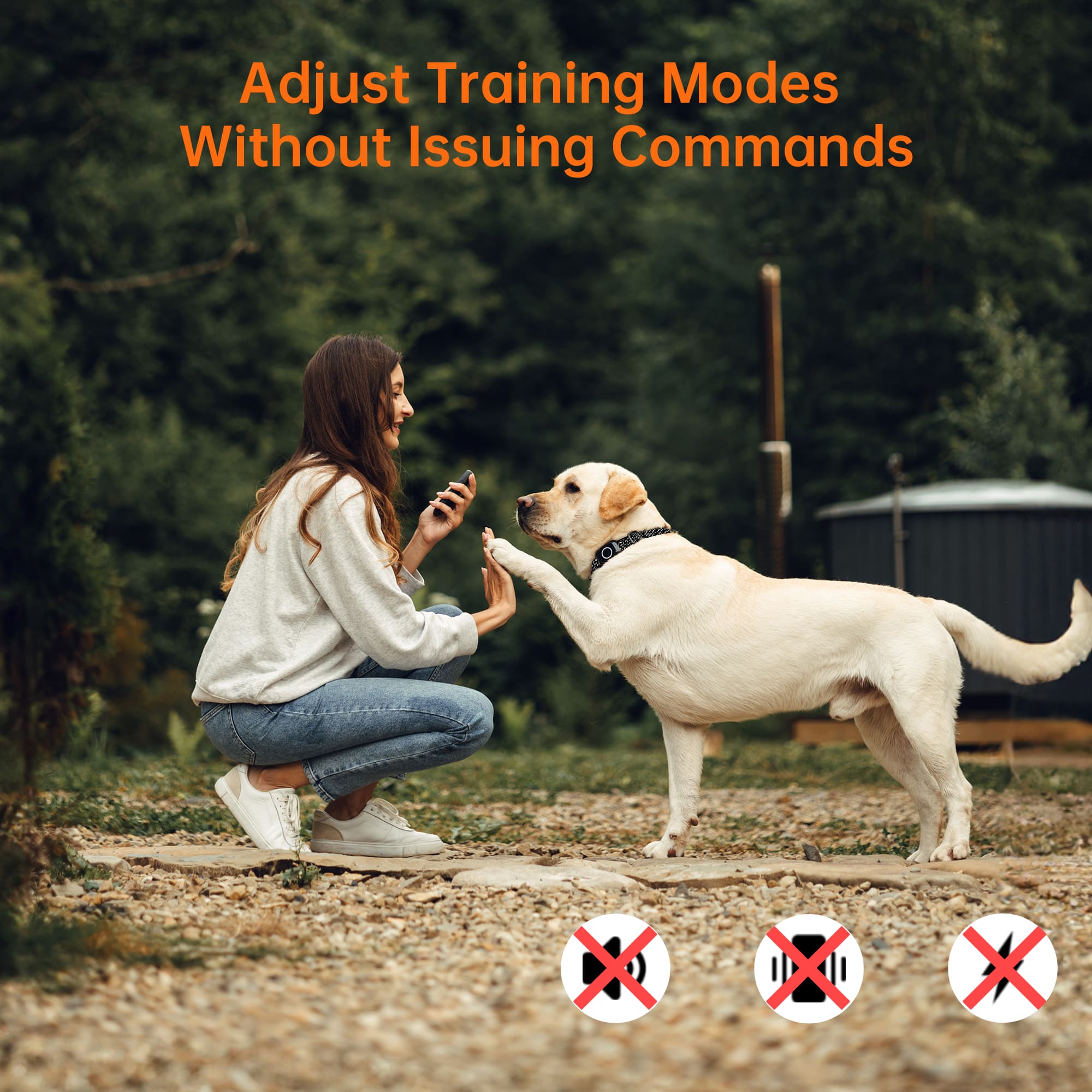 4-in-1 Remote Dog Training Collar T800Plus
