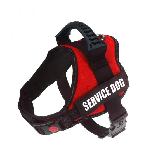Custom No Pull Dog Harness