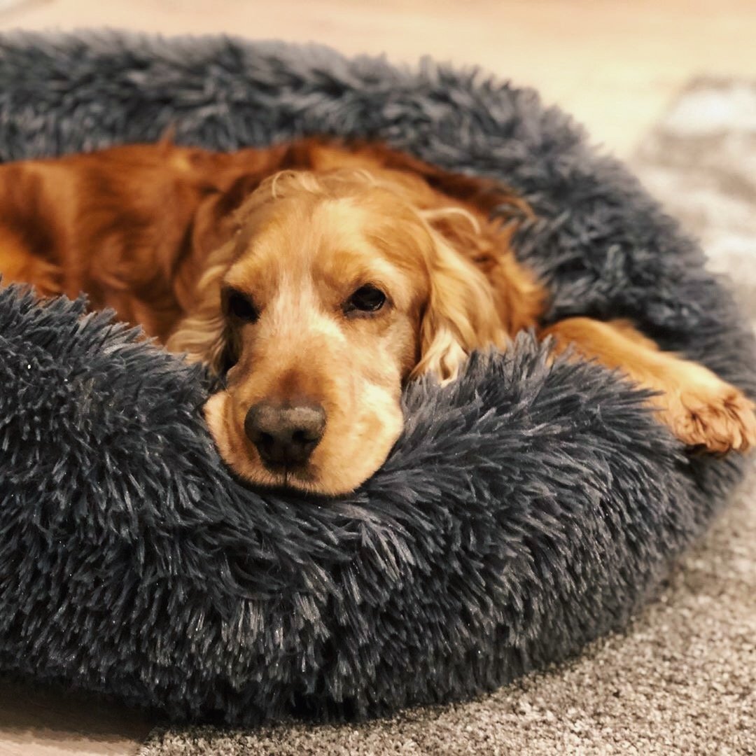 "Warming Donut" Pet Plush Calming Bed - Super Soft Luxury Dog Bed
