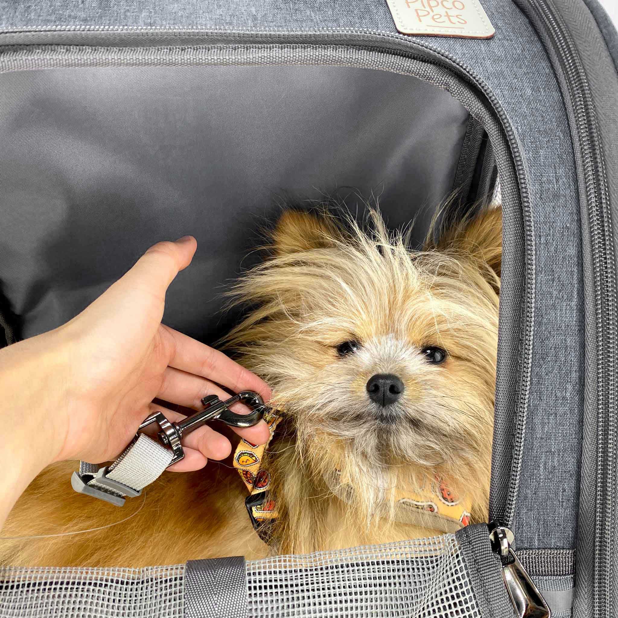 Pet Backpack Carrier