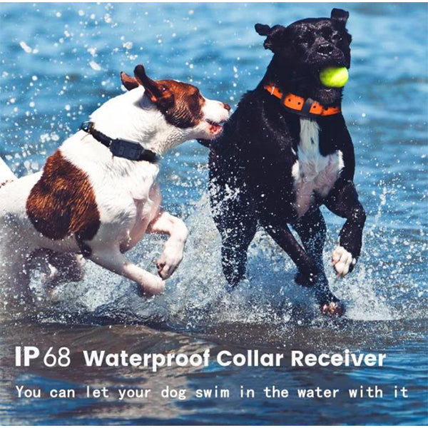 Waterproof Dog Training Collar Rechargeable Remote Electric Dog Shock Collar