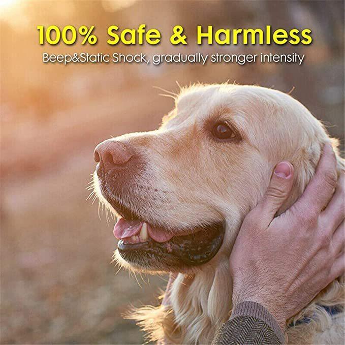 Pet Safe Wireless Electric Dog Fence - Wireless Dog Fence With Shock Collar