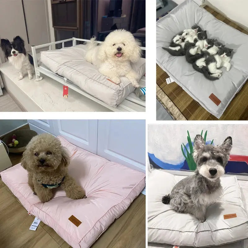 Soft Dog Bed Waterproof Detachable Dog Sleeping Mat for Small Medium Large Dogs Cats Thicken Non-slip Puppy Kennel Pet Supplies DreammyDoggie