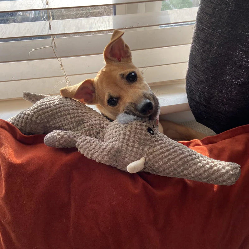 Robust Dog Toy for Strong Teeth