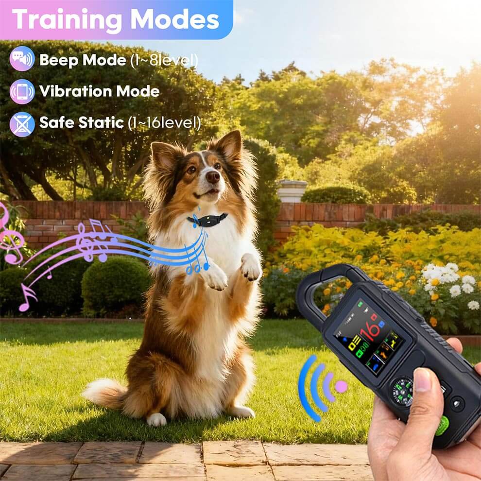 Wireless Dog Fence for Multiple Dogs - Smart Collar