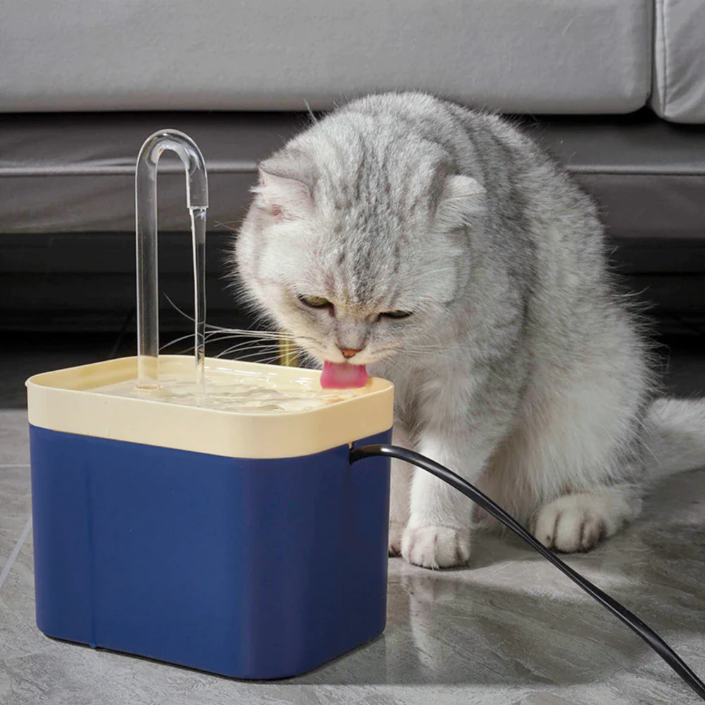 Filtered Water Fountain for Cats