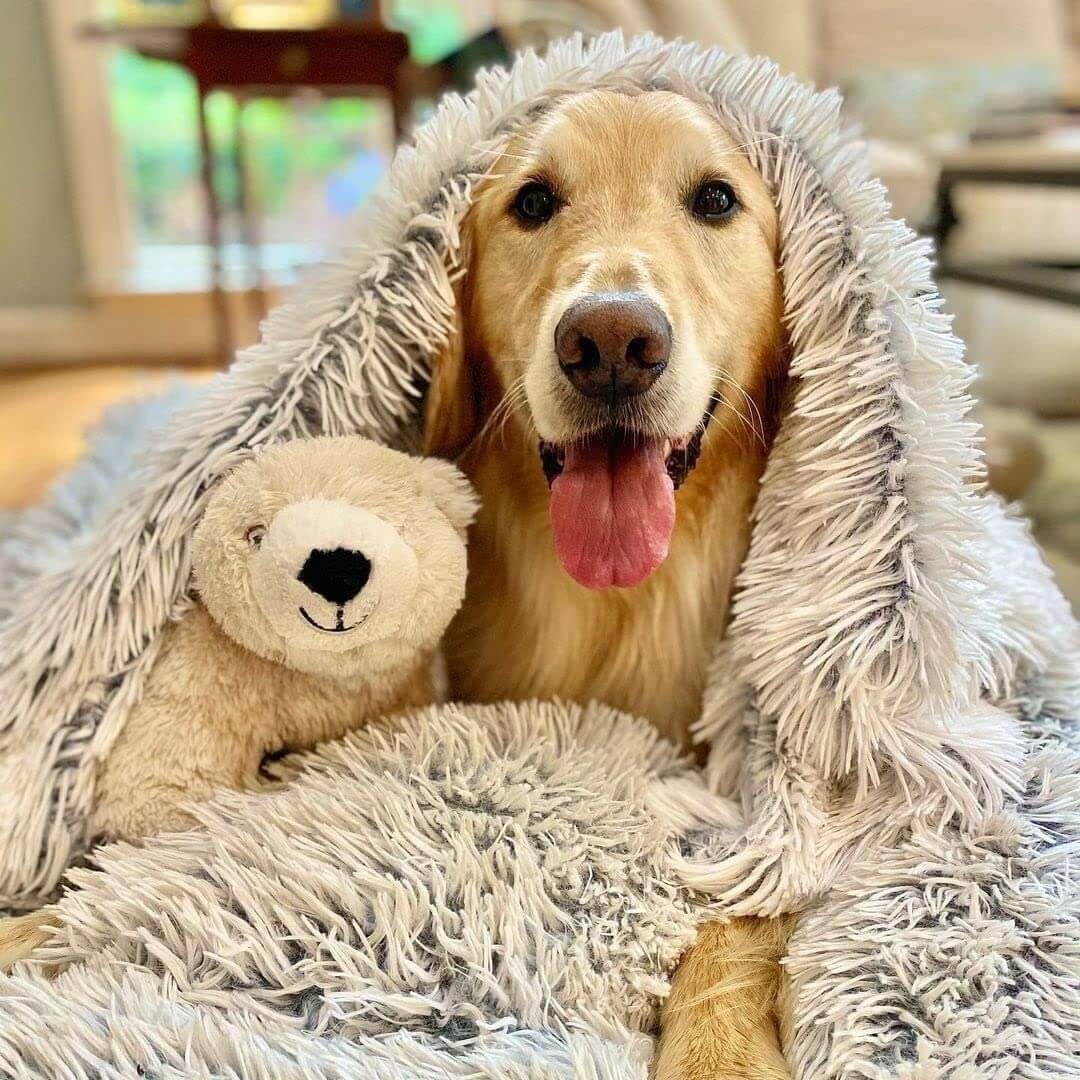 Anxiety Relieving Fluffy Pet Blanket