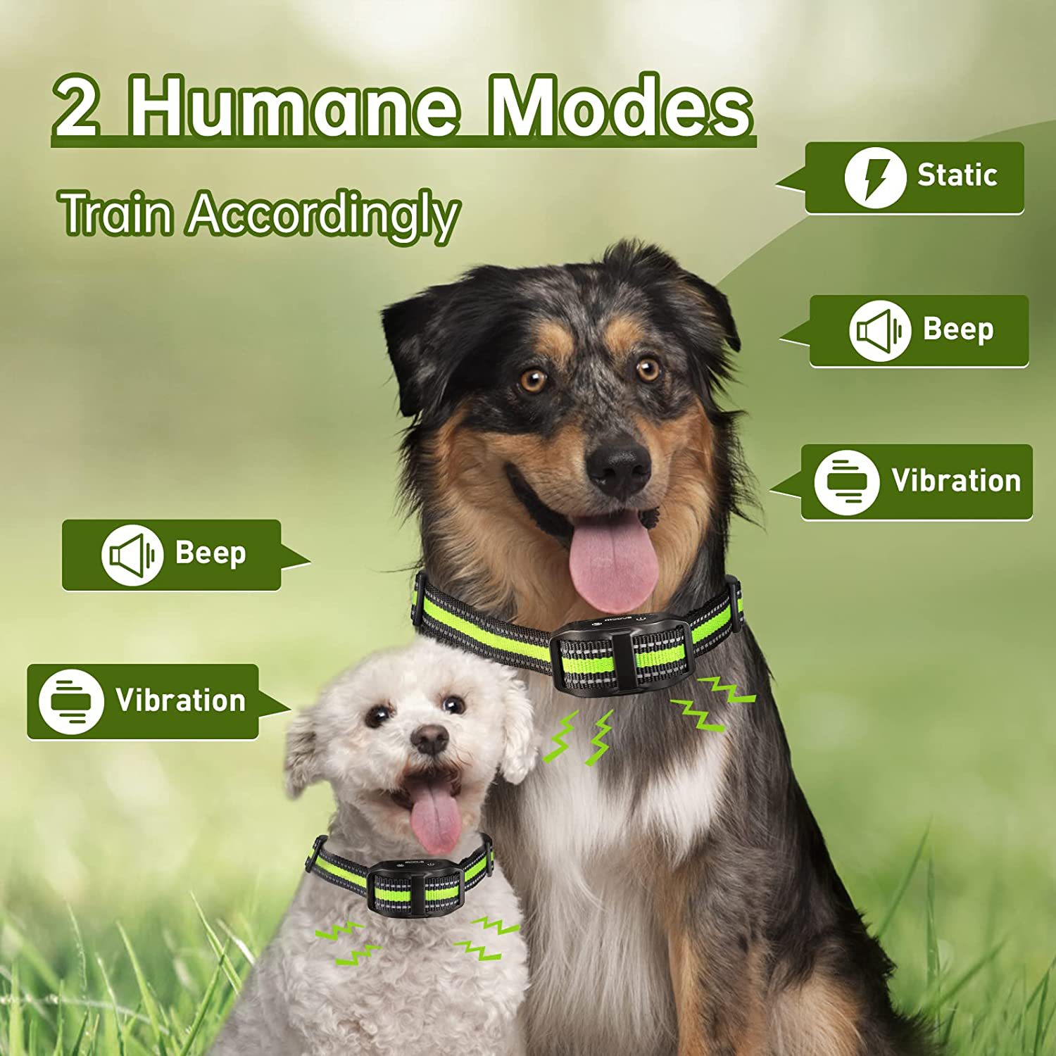 Dog Anti-Bark & Training Collar