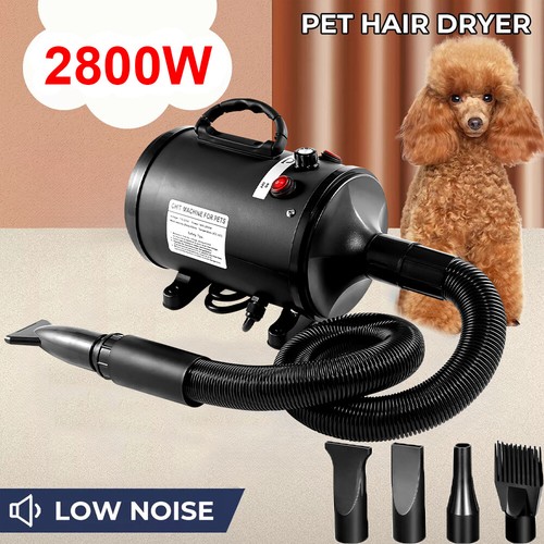 High Power Dryer - 2025 Best Wet Dry Vacuum For Pet Hair