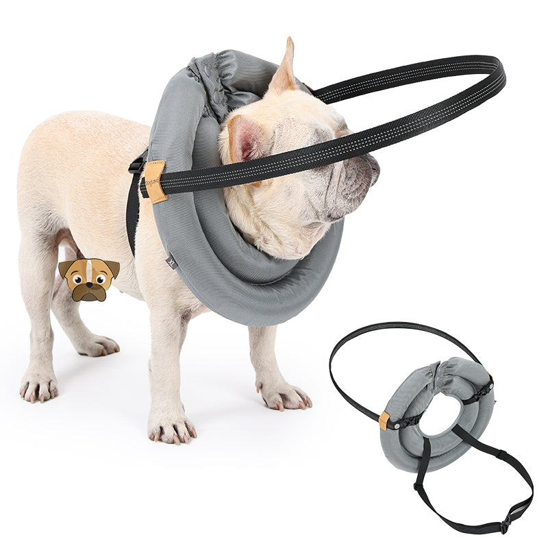 Pet Halo Collar Harness – Safe Navigation for Blind Dogs