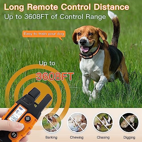 Electric Waterproof & Rechargeable with Remote Control Dog Training Collar