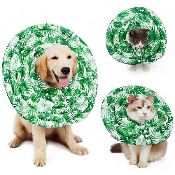 Dog & Cat Elizabethan Surgery Recovery Collar