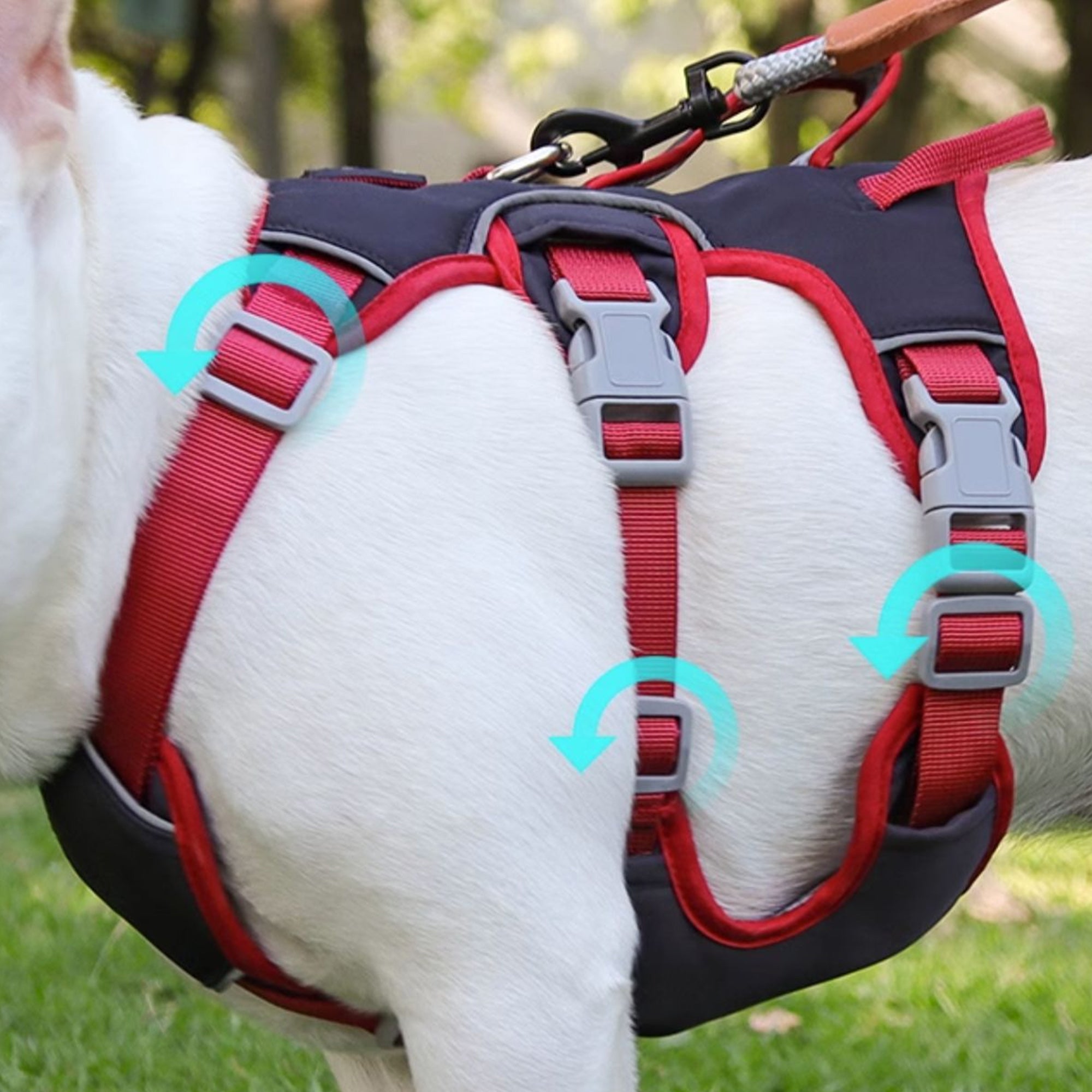 Anti-Escape Three-Piece Dog Chest and Back Harness