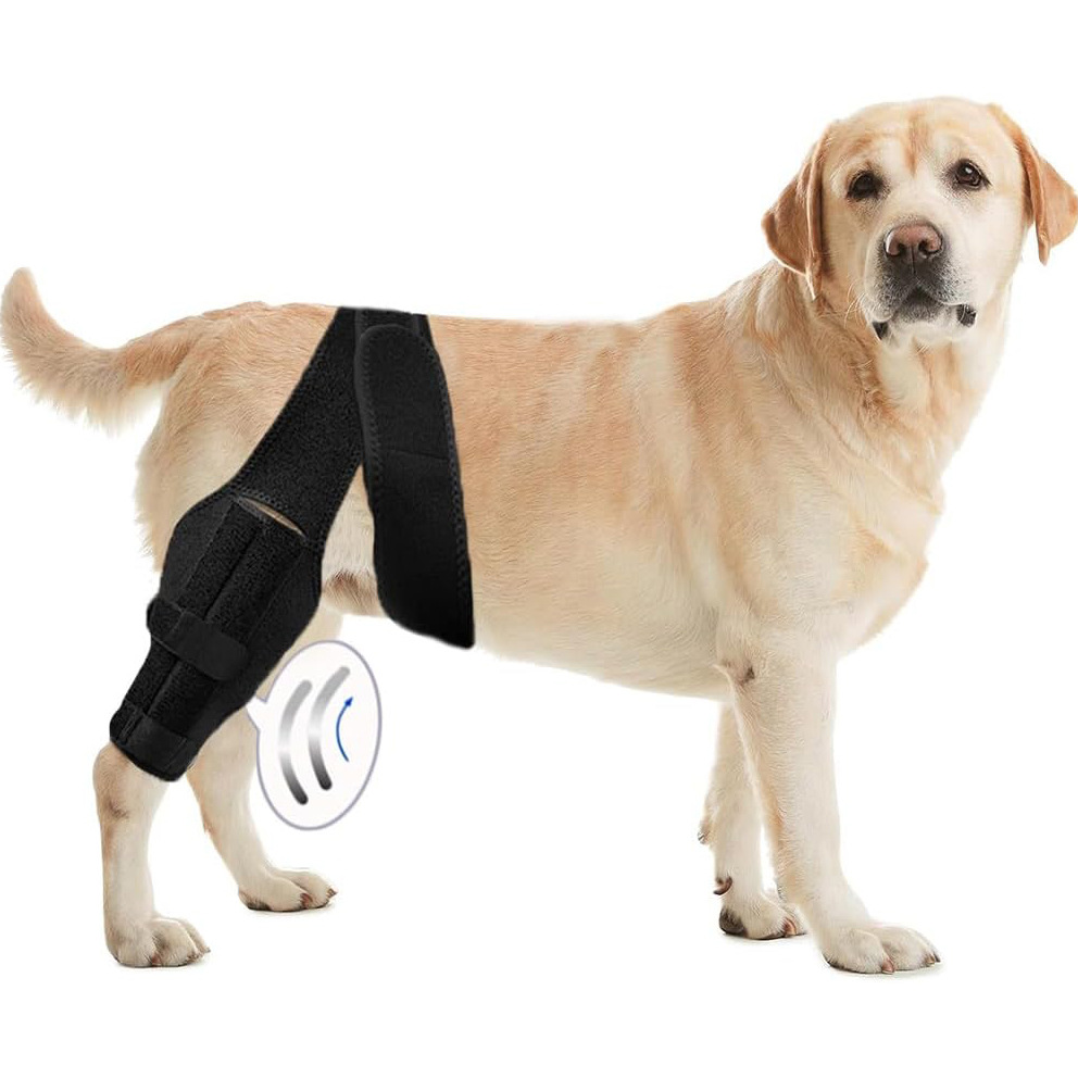 Dog Elbow Braces for Offers Elbow Support