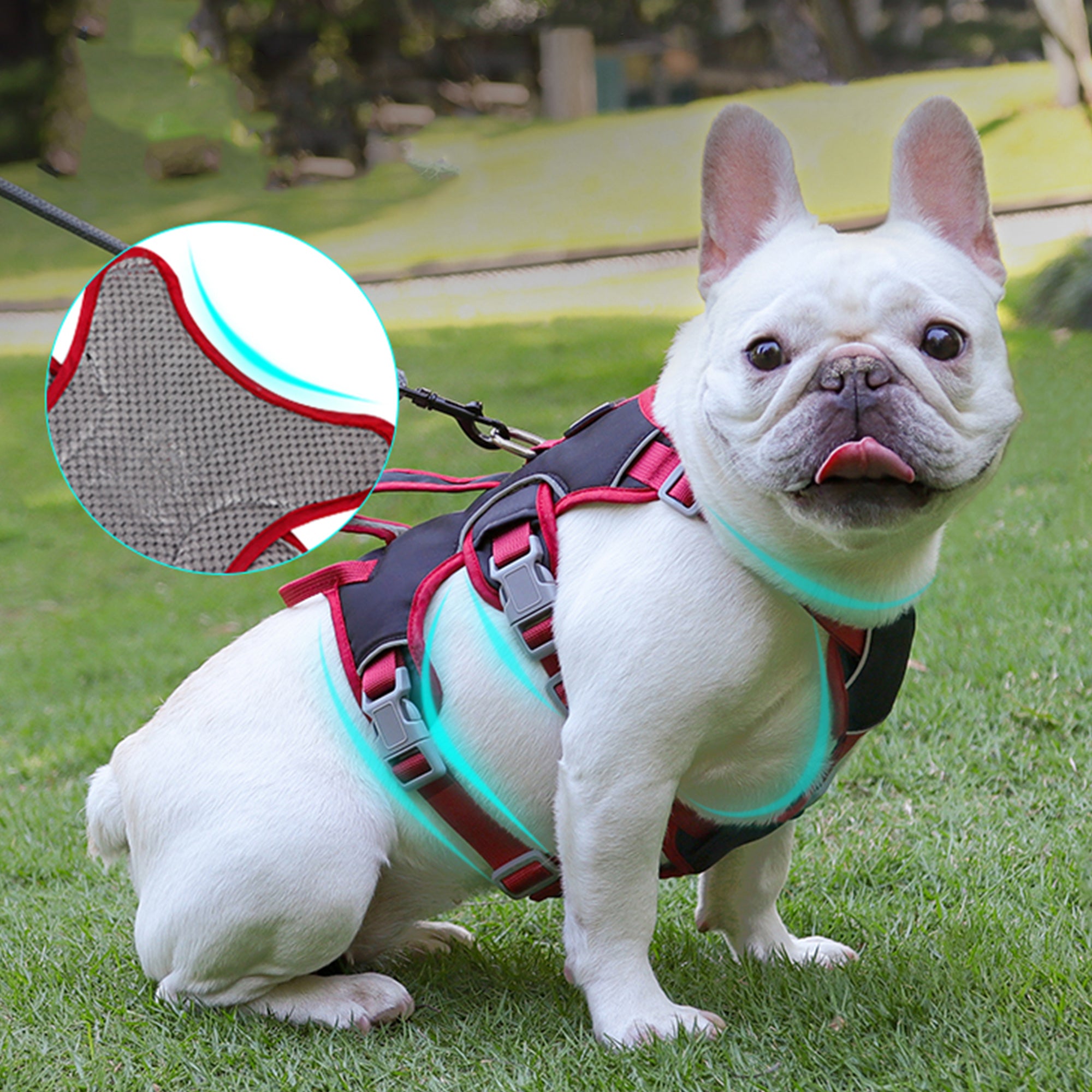 Anti-Escape Three-Piece Dog Chest and Back Harness