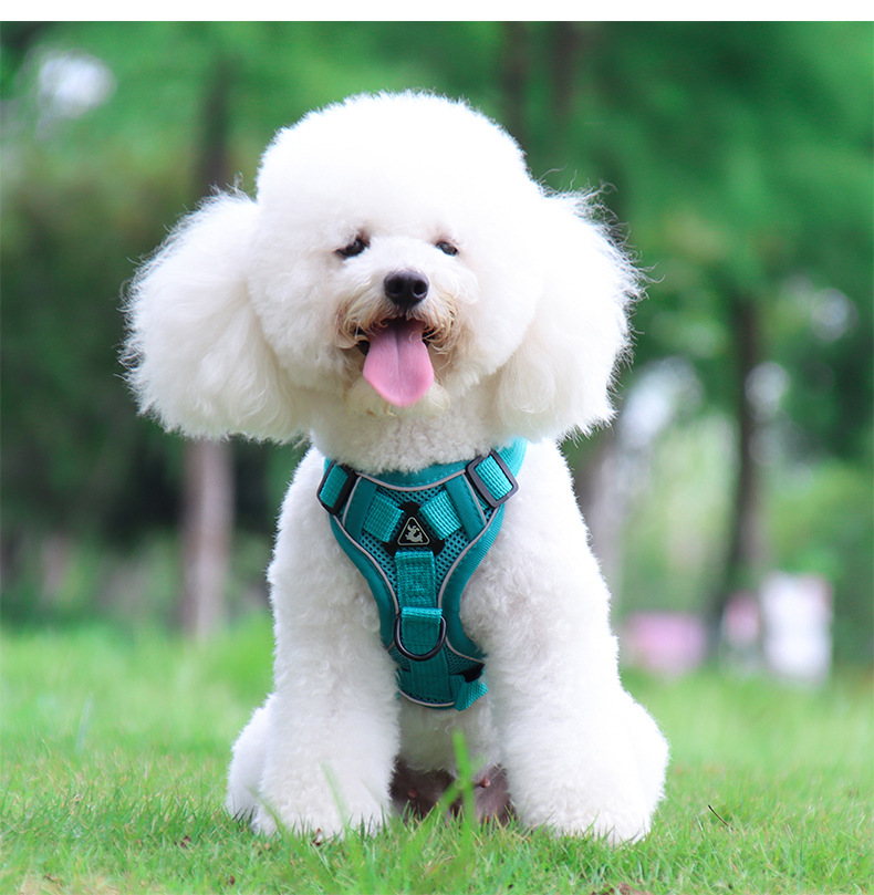Dog Harness No Pull, Adjustable Puppy Harness with 2 Leash Clips