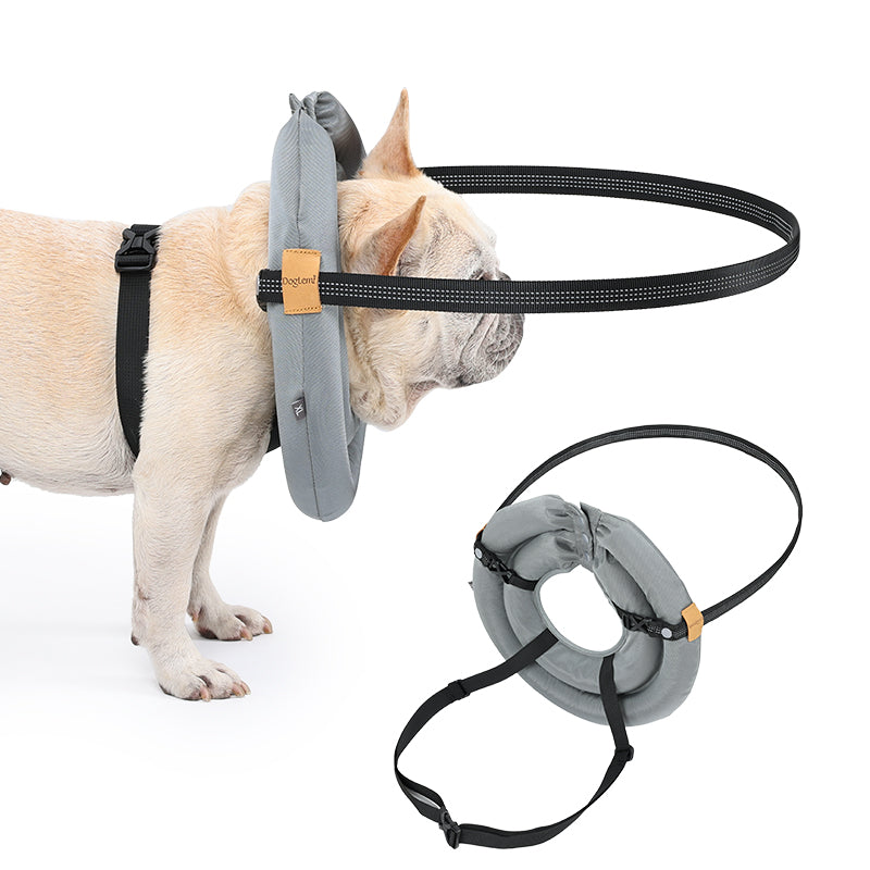 Pet Halo Collar Harness – Safe Navigation for Blind Dogs