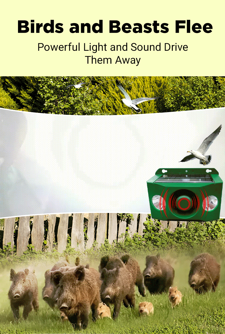 Beast Repellent Solar Warning Lights with Loud Volume