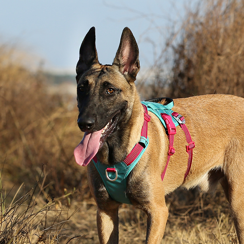 Tactical Backpack Harness with Dupont Cordura Waterproof Fabric