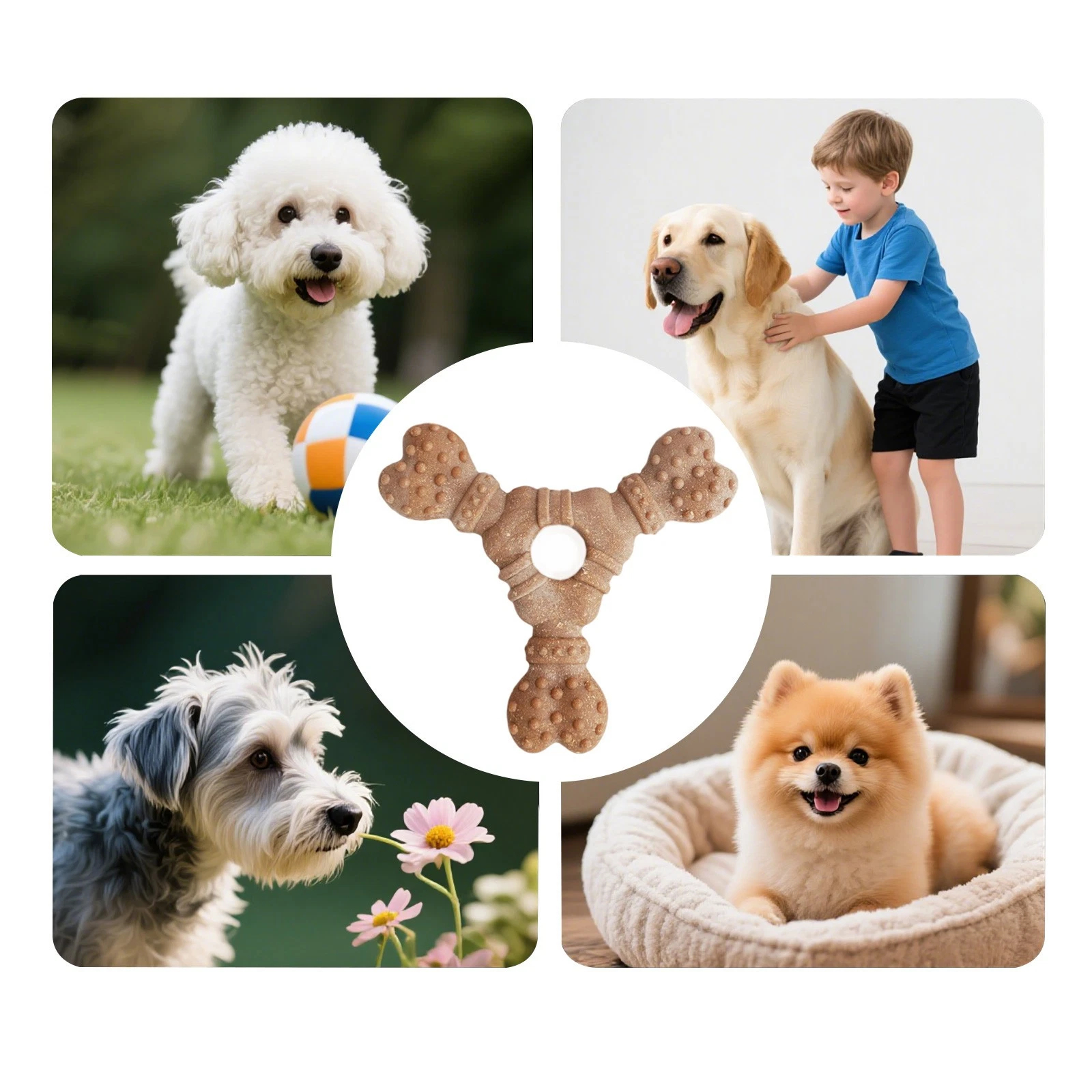 4PCS Puppy Chew Toys For Teething Dog Toys Interactive Bone Shaped Teeth Cleaning
