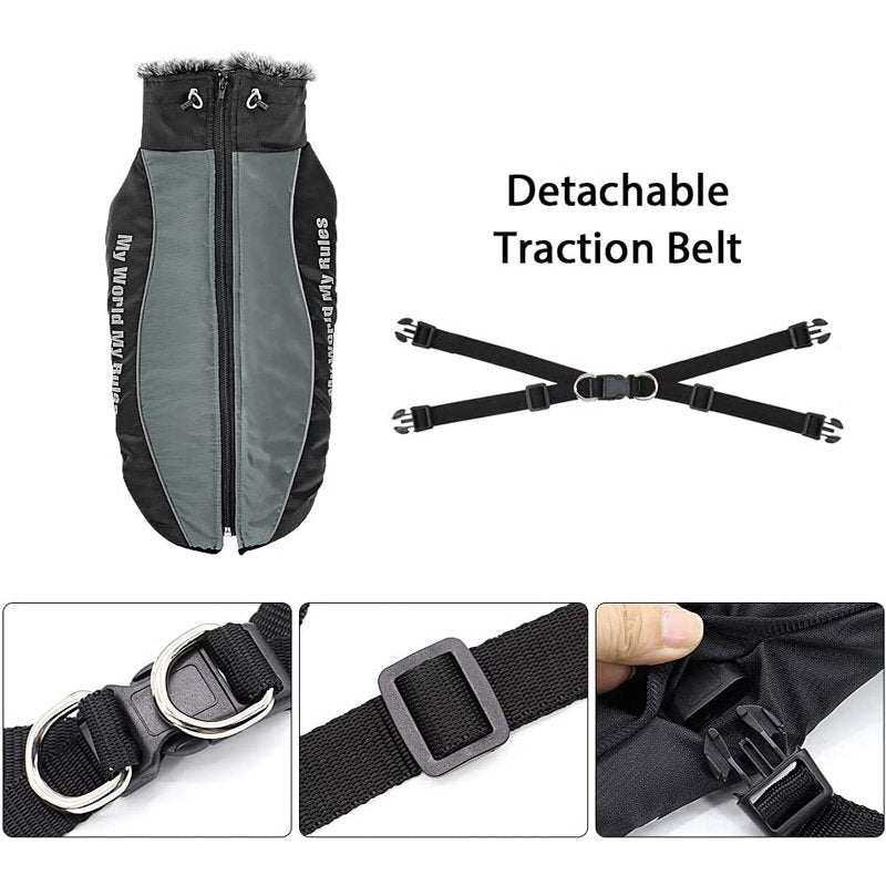 Waterproof Dog Jacket Harness for Cold Weather