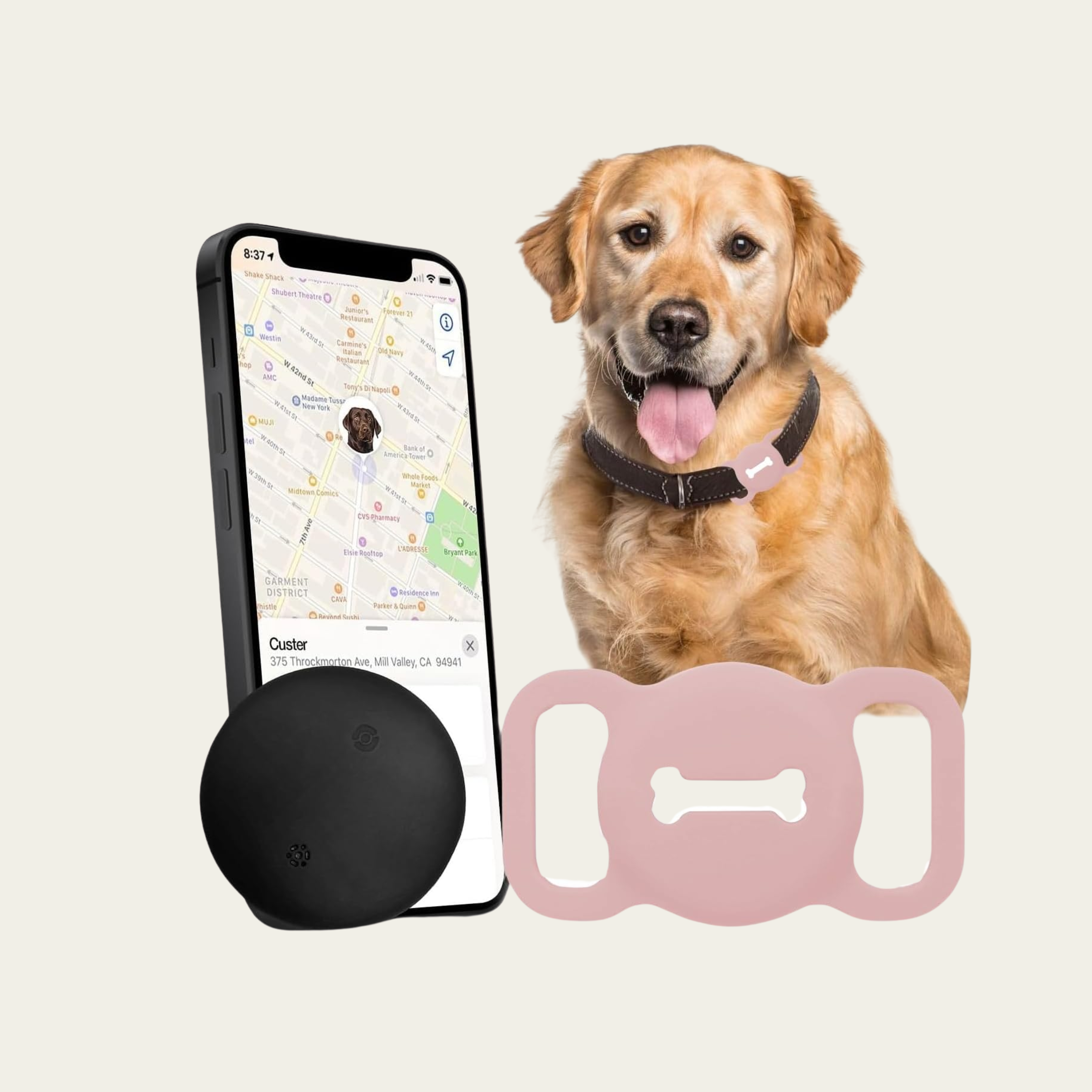 Smart Dog Tracker with Collar Holder