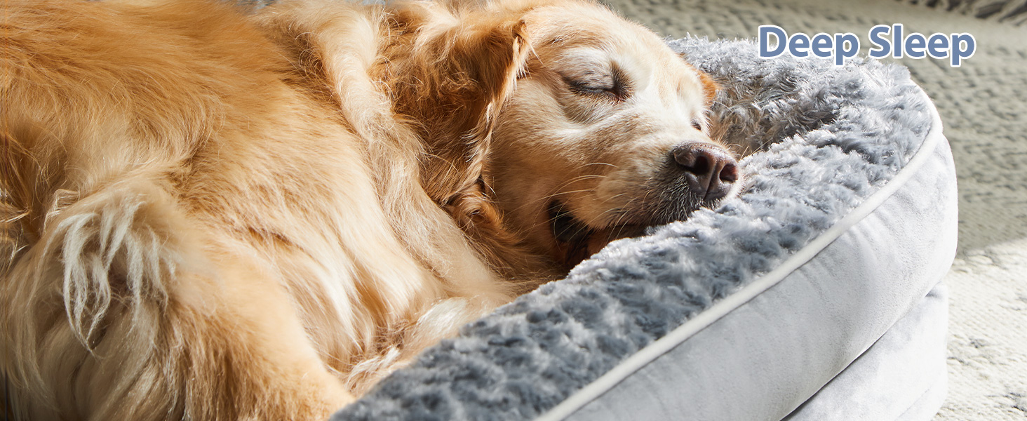 dog bed7