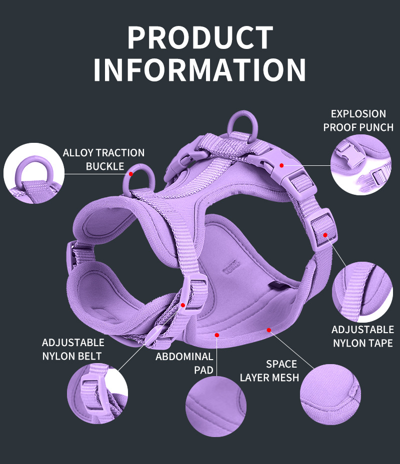 Dog Harness| Harness and Leash Walk Kit