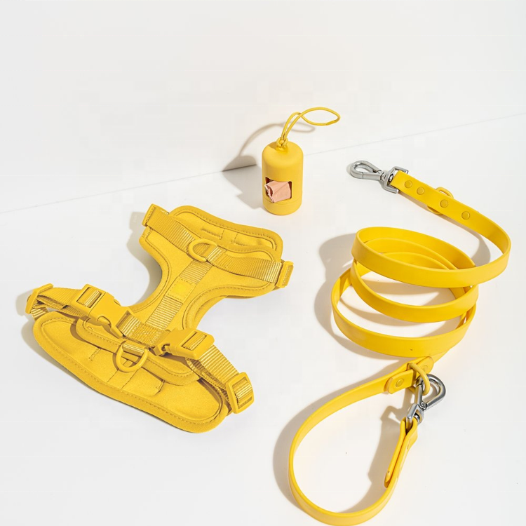 Dog Harness| Harness and Leash Walk Kit