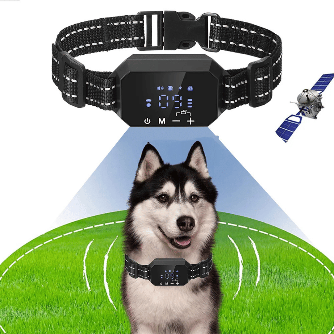 1000m GPS Wireless Dog Fence Containment System