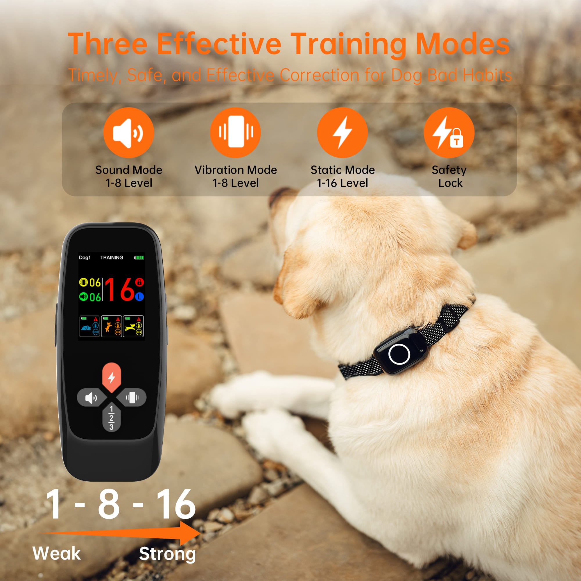 4-in-1 Remote Dog Training Collar T800Plus