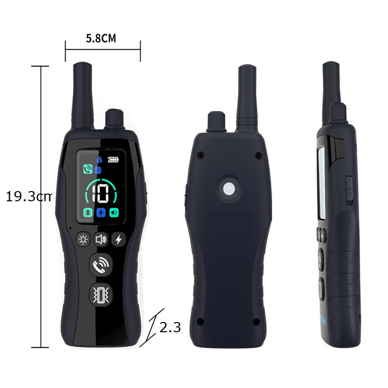 Professional Remote Trainer