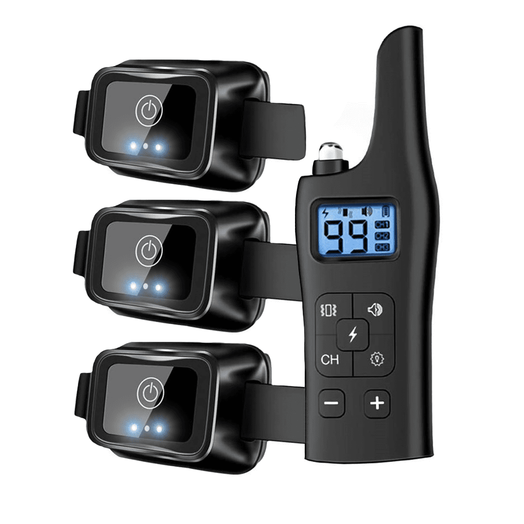 Pet Smart Dog Training Collar with Remote