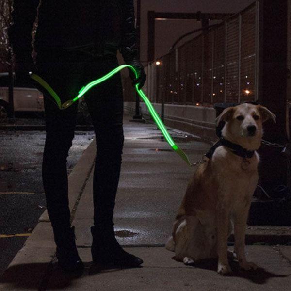 Dog Visibility Leash