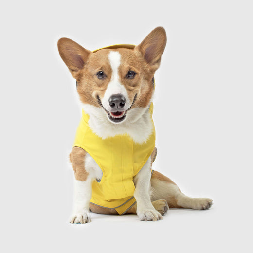 Dog Raincoat Pet Water Proof Clothes Lightweight Rain Jacket Poncho Hoodies with Strip Reflective