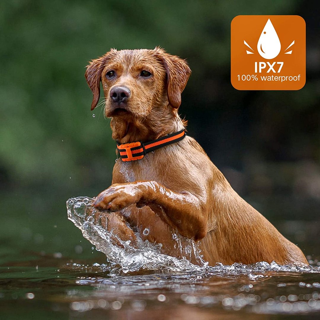 Dog Shock Training Collar - E Collar For Dog With Remote Range